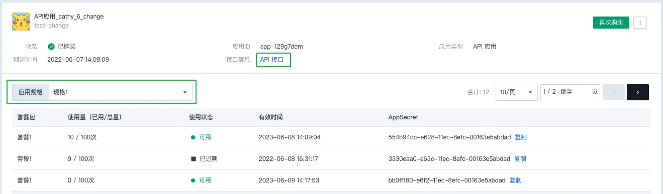 api use detail